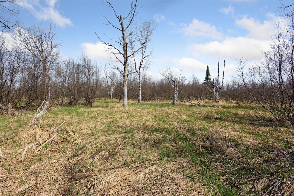 01-13386-Potter-Rd-Bear-Lake-MI-49614-Wi