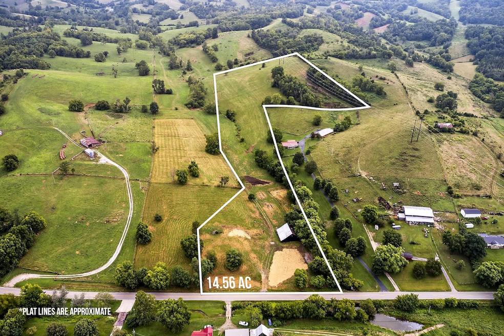 3056 Irvine Rd, Winchester, KY 40391 - photo 1