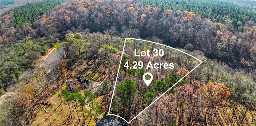 Bird's eye view of a heavily wooded area