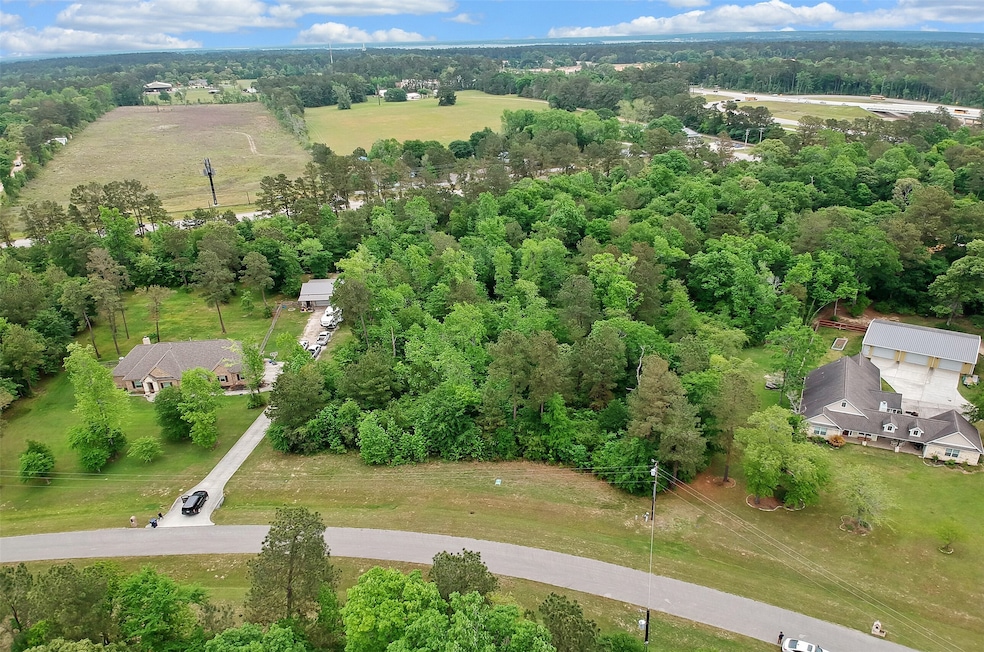 105 Ebner Lake Front Dr, Montgomery, TX 77316 - photo 1