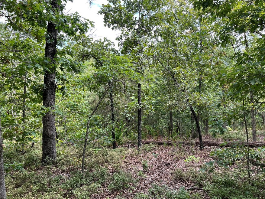 14 Oniell Ln unit 1228005, Bella Vista, AR 72715 - photo 1