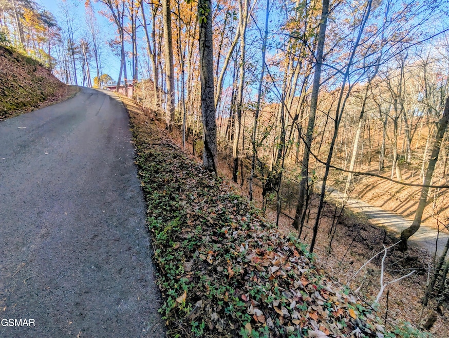 Lot 194A Ski View Ln, Sevierville, TN 37876 - photo 1