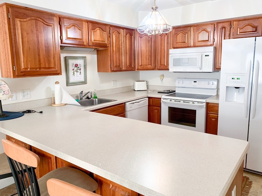 25 Green Leaves Dr unit 508, Amherst, MA 01002 - photo 1