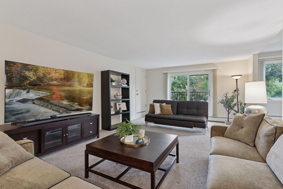 3412 Oak Ridge Rd unit 211, Hopkins, MN 55305 - photo 1