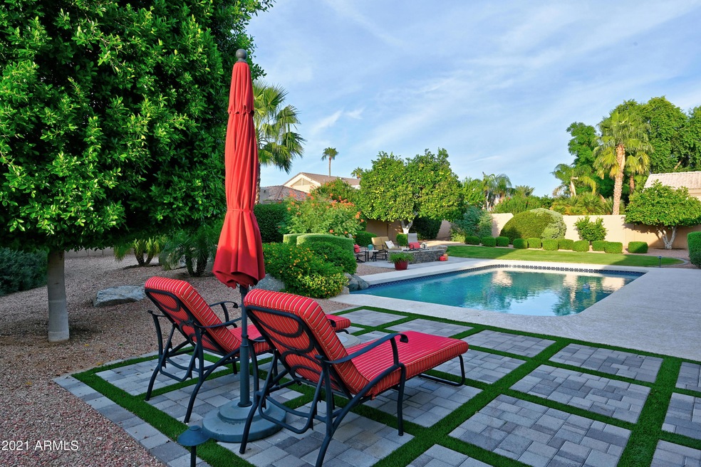 Backyard 1