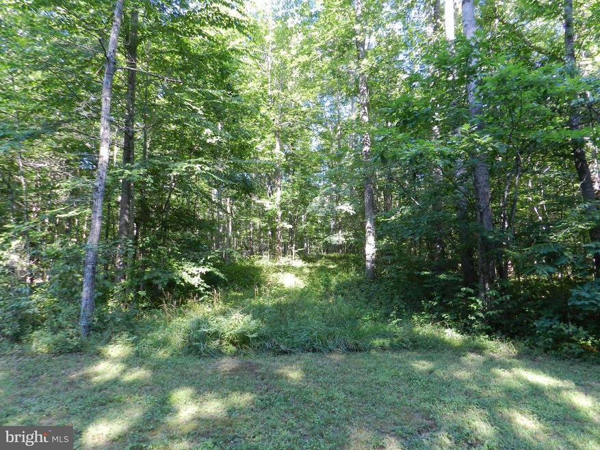 B Hart Ct, Culpeper, VA 22701 - photo 1