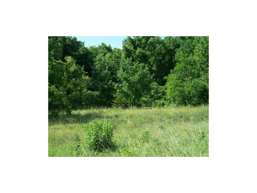 Nice 8 ac. bldg. site close to Cameron.