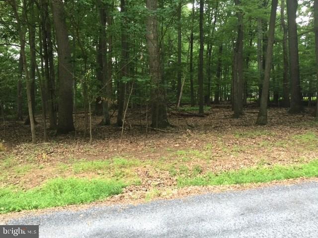 33 Peach Tree Trail, Fairfield, PA 17320 - photo 1