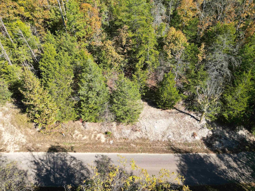 TRACT 5 Cherry Chapel Loop, Savannah, TN 38372 - photo 1