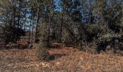 0 SW 189th Ave, Dunnellon, FL 34432 - photo 1