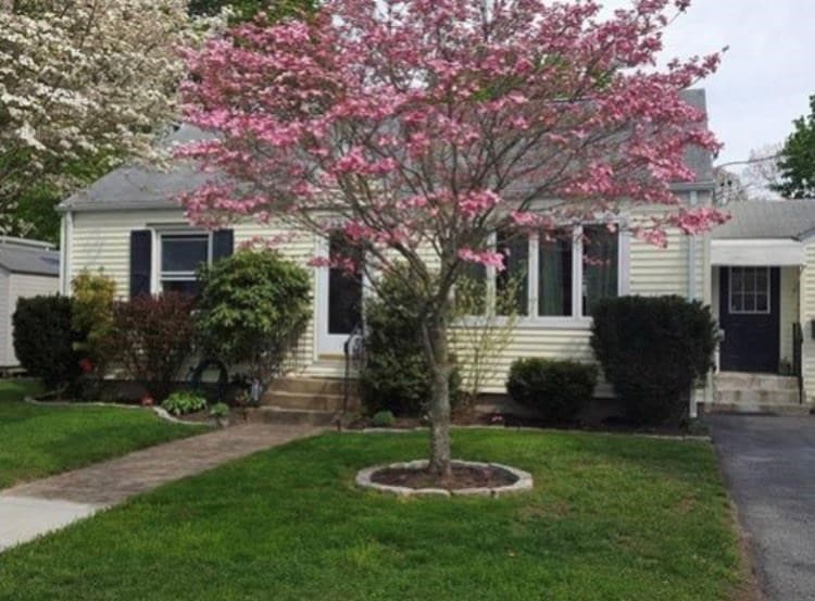 82 Warren Ave, Cranston, RI 02920 - photo 1