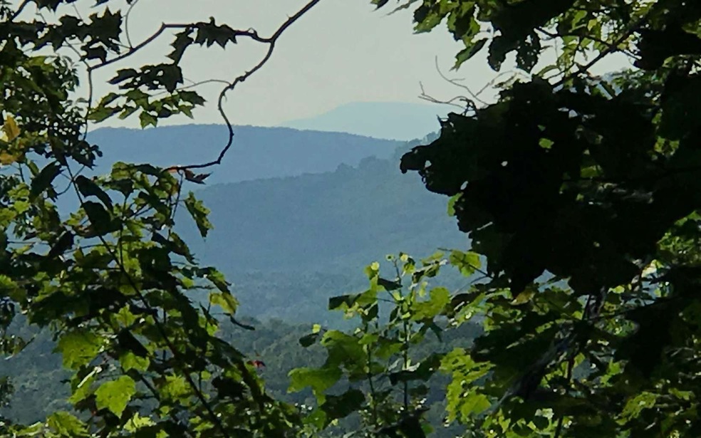 9.88A Tabor Rd, Ellijay, GA 30536 - photo 1