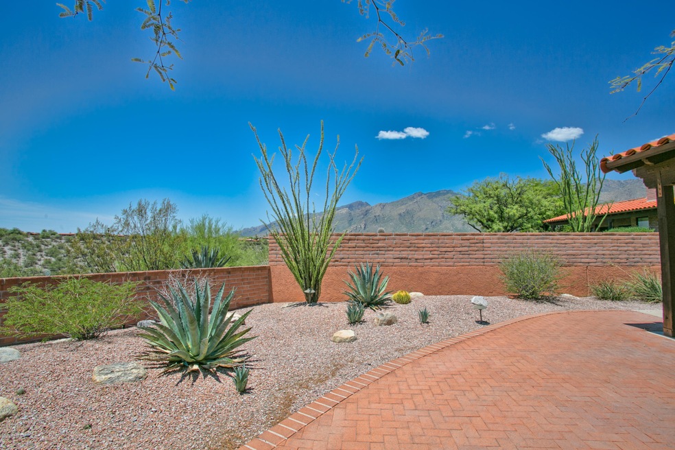 Magnificent Mountain Views