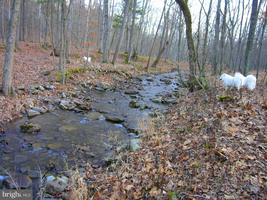 Lot 78 Trough View Rd, Old Fields, WV 26836 - photo 1