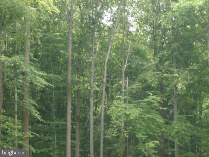 888 Mount Zion Marlboro Rd, Lothian, MD 20711 - photo 1