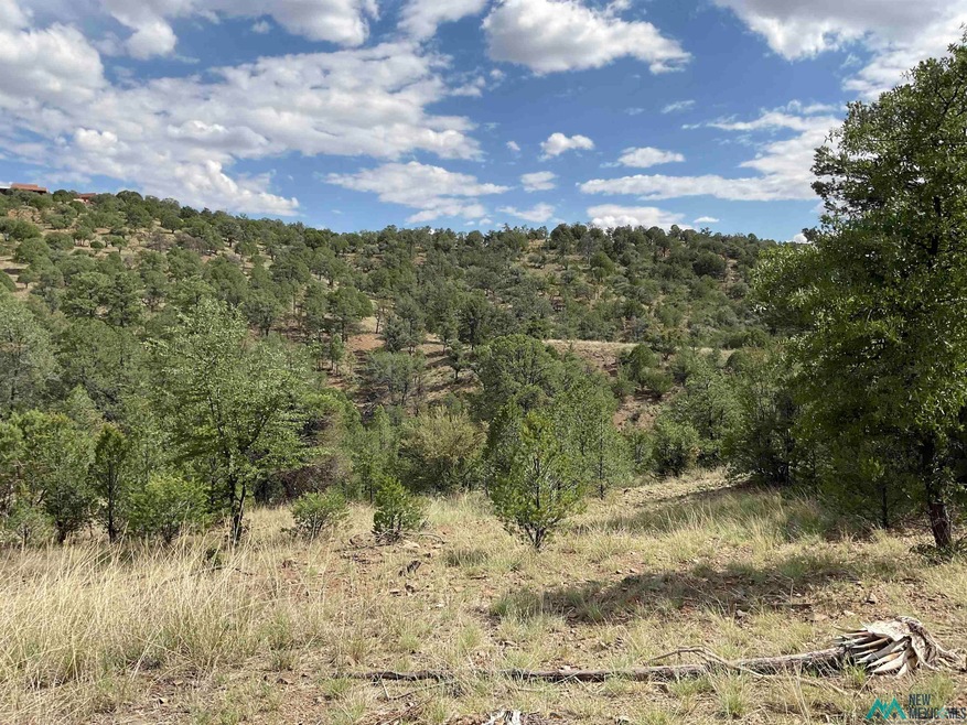 78 Lot Everest Point, Silver City, NM 88061 - photo 1