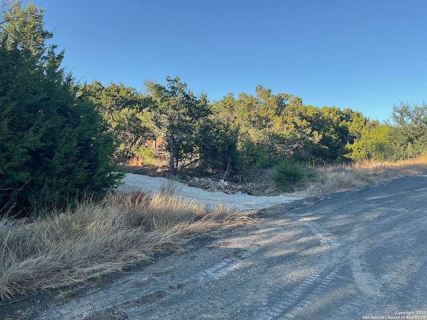 113 Champion Way, Spring Branch, TX 78070 - photo 1