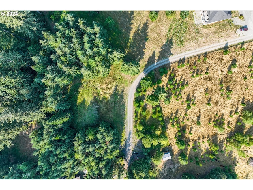 173 Jims View Rd, Castlerock, WA 98611 - photo 1