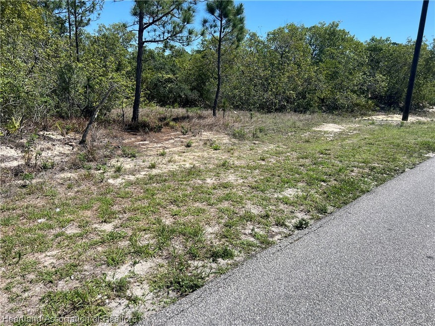 208 Moon Glow Ct, Lake Placid, FL 33852 - photo 1