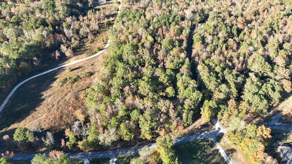 0 Waldrop Rd unit 25509282, Ashville, AL 35953 - photo 1