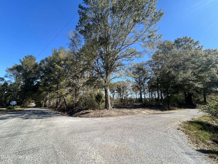 unlisted-address, Mendenhall, MS 39114 - photo 1
