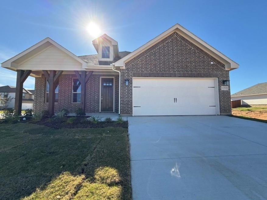 1252 Comal Ln, Springtown, TX 76082 - photo 1