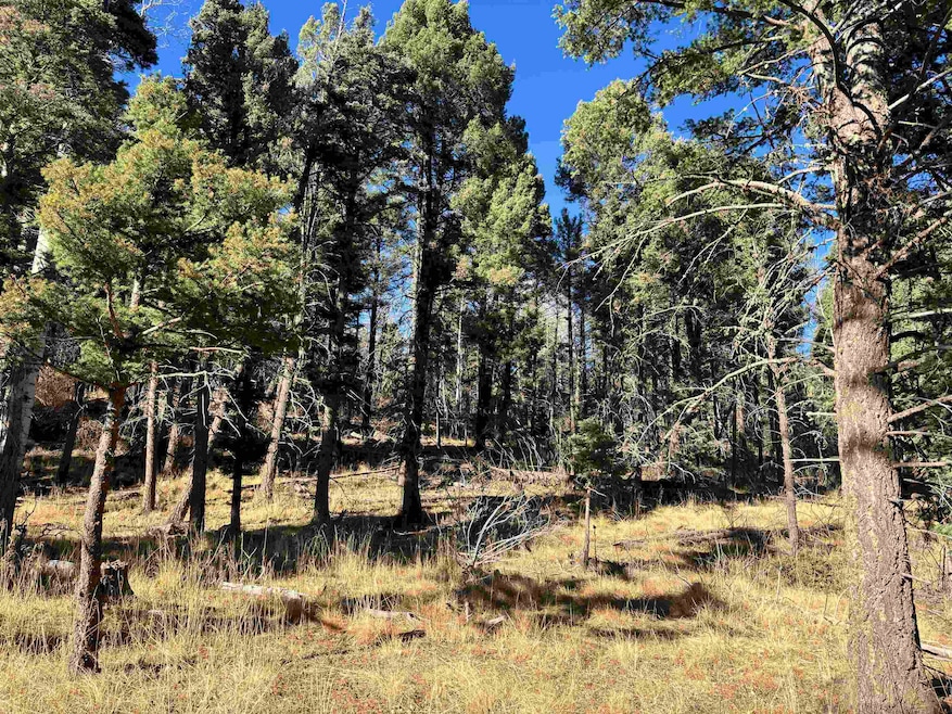 Lot 1490 Royal Ave, Angel Fire, NM 87710 - photo 1