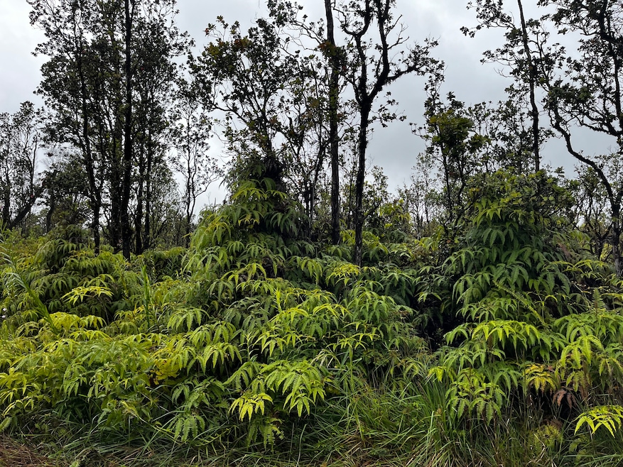 For Sale $53,000 • Co-Listing Agent