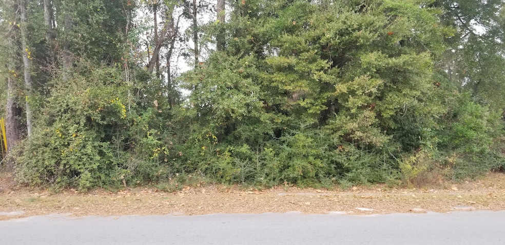 00000 N Lemacks St, Walterboro, SC 29488 - photo 1