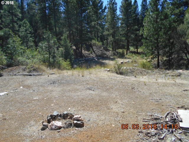 0 Gardner Ranch Ln, Canyon City, OR 97820 - photo 1