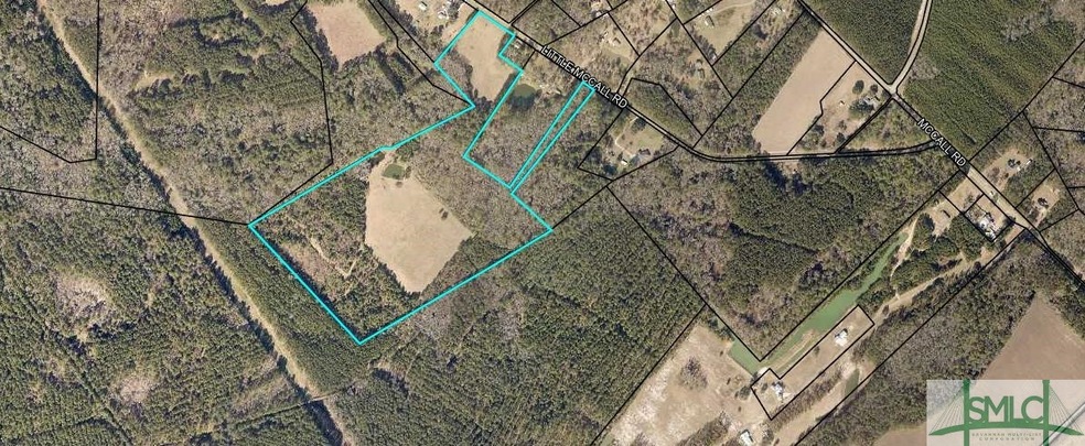 3220 Little McCall Rd, Rincon, GA 31326 - photo 1