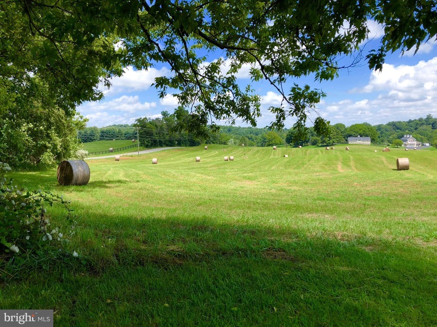 0 Sally Mill Rd unit 1001530950, Middleburg, VA 20117 - photo 1