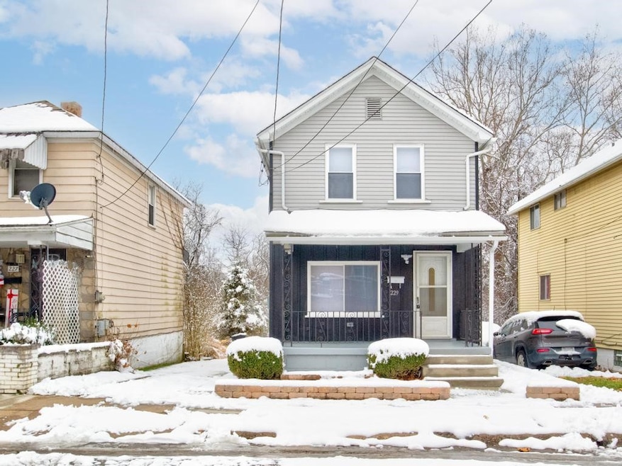 229 Spaulding St, Aliquippa, PA 15001 - photo 1