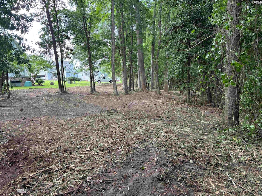 25 Crickle Creek Ln, Camden, SC 29020 - photo 1