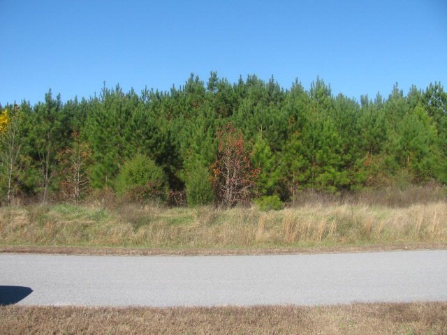 0 Betty Ln, South Hill, VA 23970 - photo 1