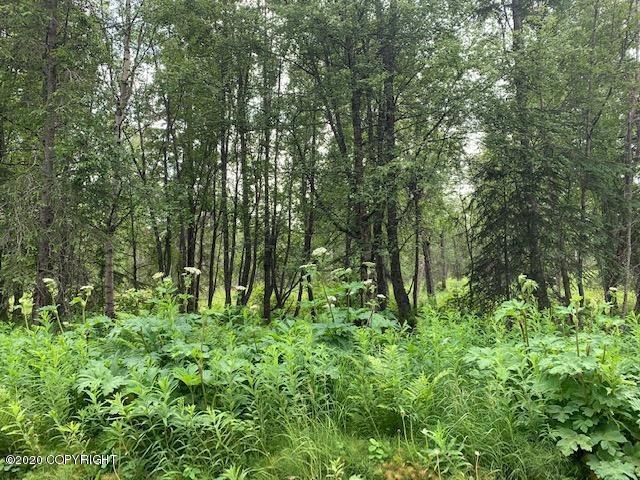 Lot from Road