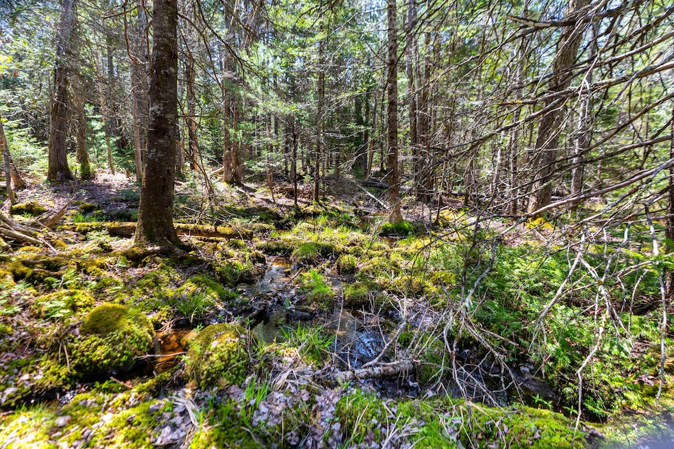 Lot 38 Arrowhead Rd, Bar Harbor (3 of 33