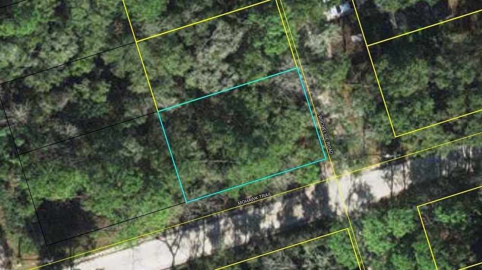 Lot 76 Rochelsie Rd, Crawfordville, FL 32327 - photo 1