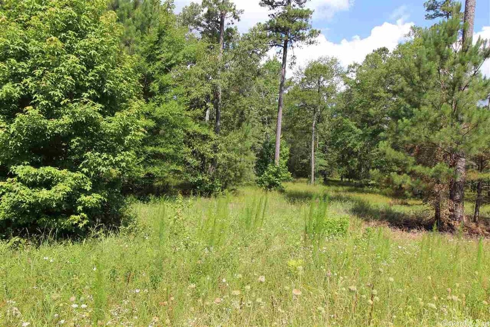 0 Highway 167 S unit 20002810, Sheridan, AR 72150 - photo 1