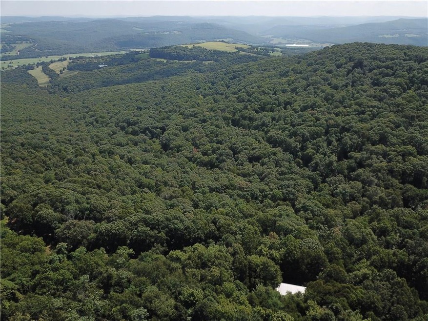 0 Mc 5190 unit 1126222, Wesley, AR 72727 - photo 1