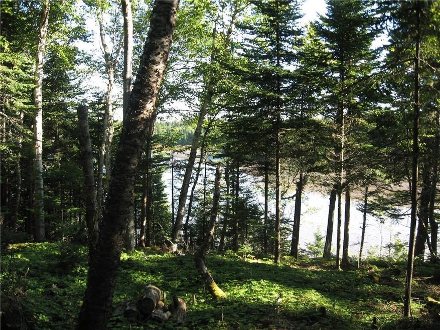 #19 Collins Cove Rd, MacHiasport, ME 04655 - photo 1