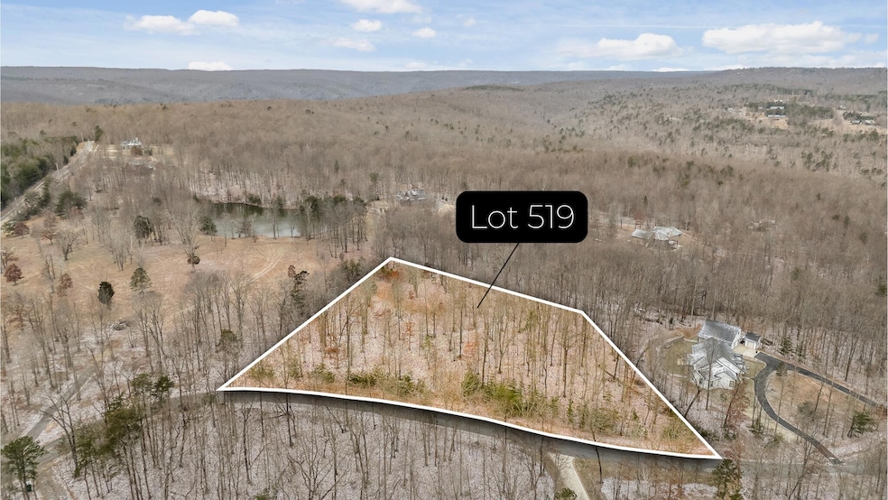Lot 519