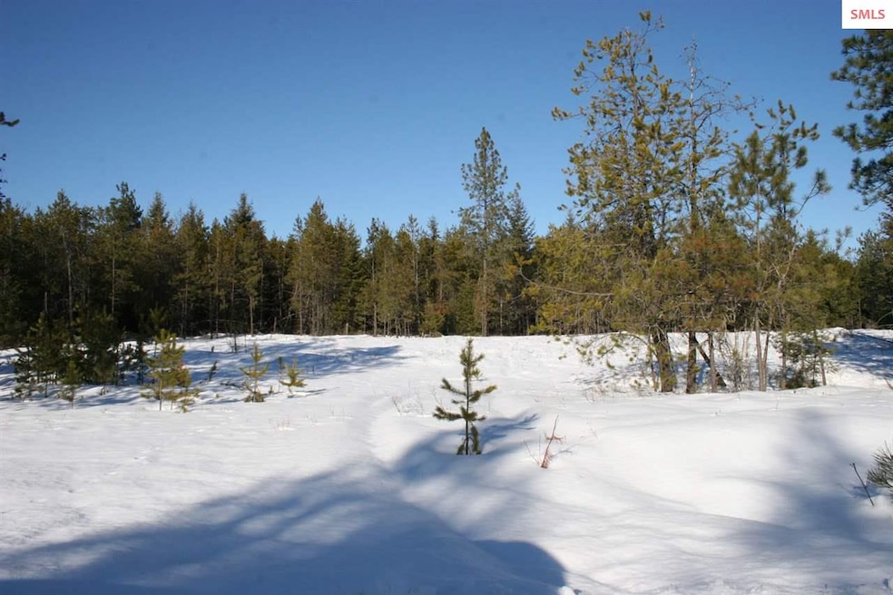 B1 NNK Northern Sky Rd, Athol, ID 83801 - photo 1