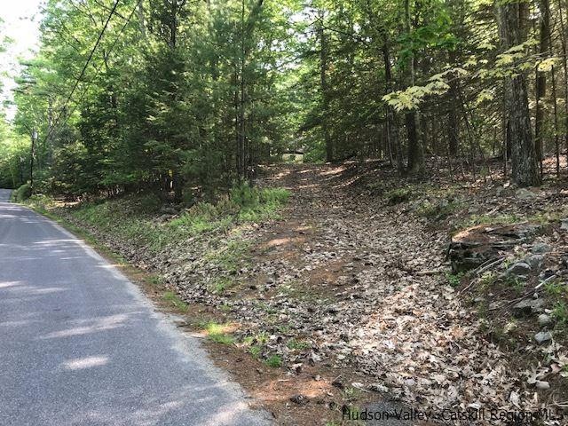 611 Buck Rd, Stone Ridge, NY 12484 - photo 1