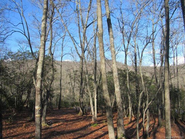 425 Walnut Valley Pkwy unit Lot 96, Arden, NC 28704 - photo 1