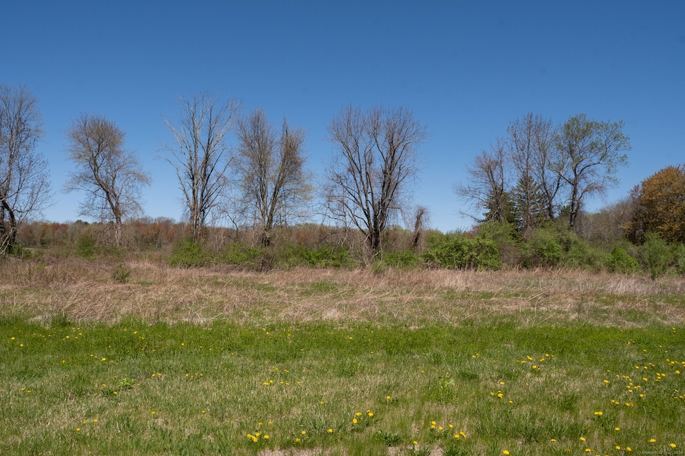 395 Grant Hill (Mill Race Drive) Lot #21 Rd, Coventry, CT 06238 - photo 1