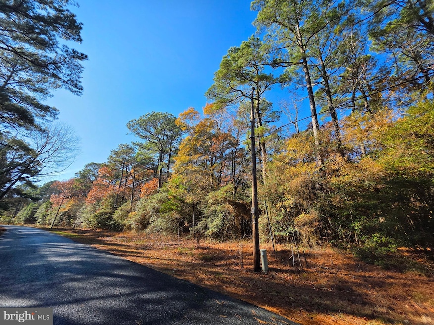 0 Roland Parks Rd unit MDSO2006658, Chance, MD 21821 - photo 1
