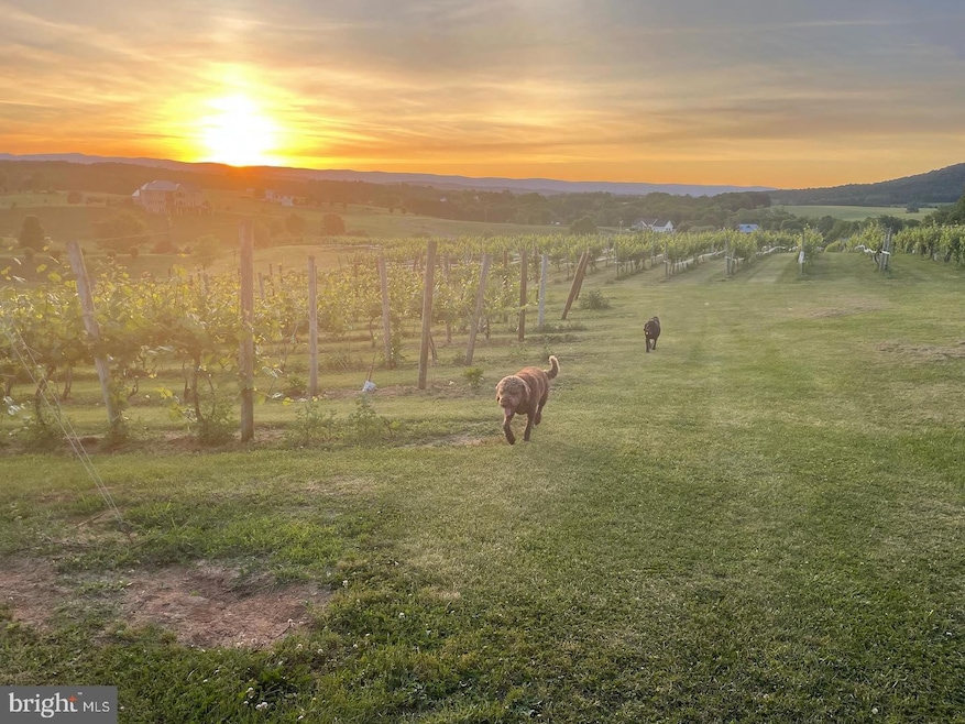 2110 Quicksburg Rd, Quicksburg, VA 22847 - photo 1