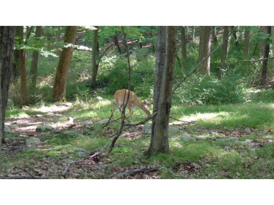 0 Lot 162 Blake unit 4437325, Danville, NH 03819 - photo 1