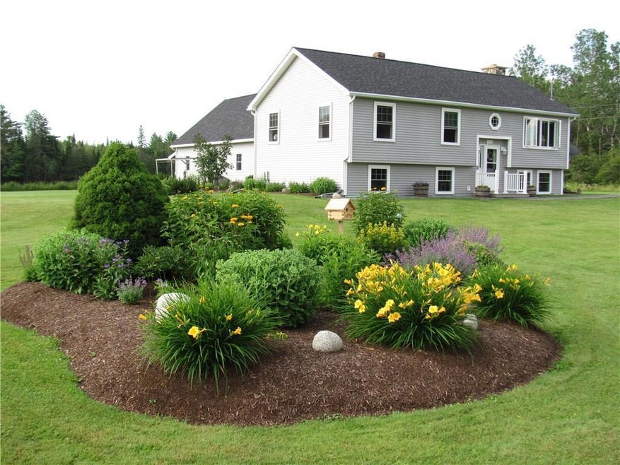 372 Lake Road in Full Bloom